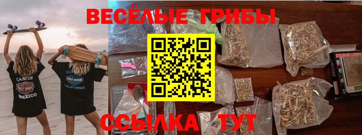 Псилоцибиновые грибы мицелий  Вход с VPN  Ликино-Дулёво 